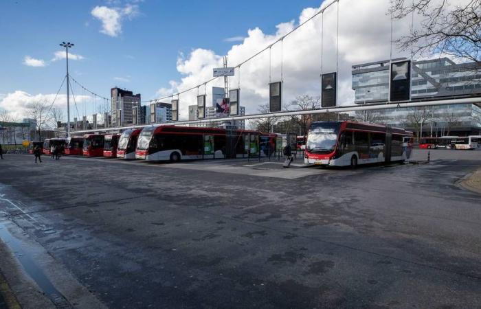 Bus drivers in Eindhoven will go on strike on Saturday: ‘Probably a large part will not drive’ | Eindhoven