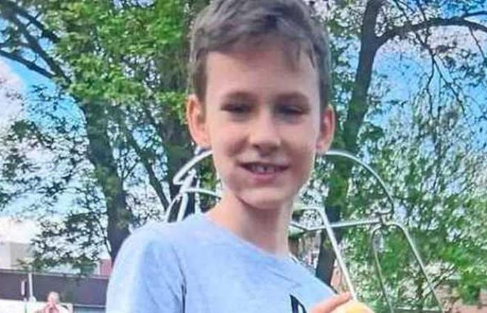 Gino’s step found in search for missing boy