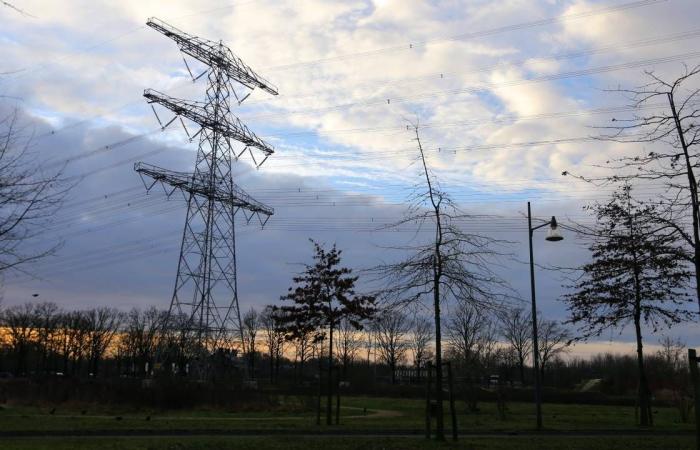 High-voltage grid is full: no more connections for new companies