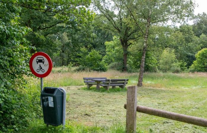 Sex and drugs at a picnic spot in Twente? ‘I’m really looking with big eyes’ | Wierden