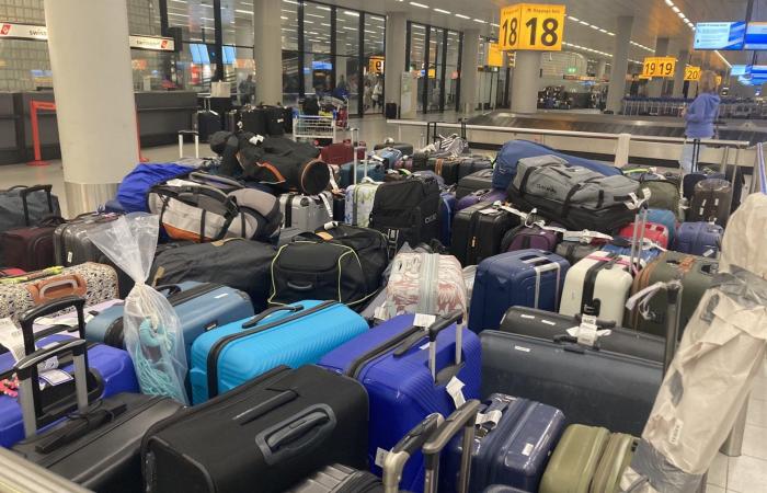 Finding suitcases in the ‘luggage havoc’ at Schiphol? ‘Forget it’