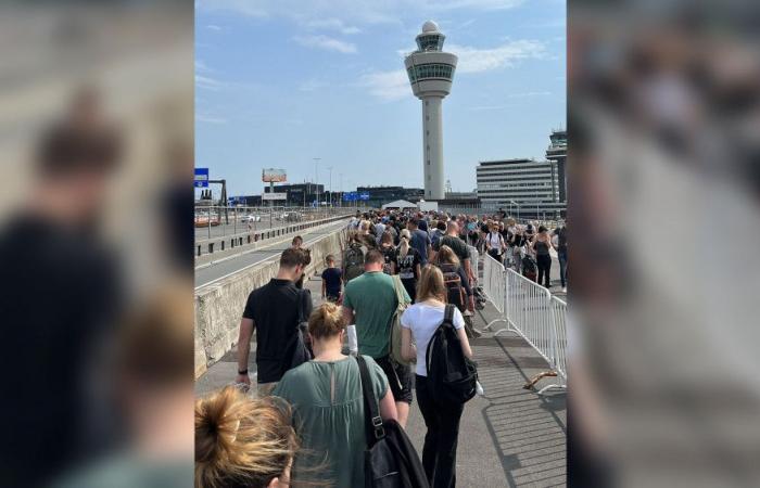 Pushing forward, riots and crying spells: insane pressure at Schiphol again