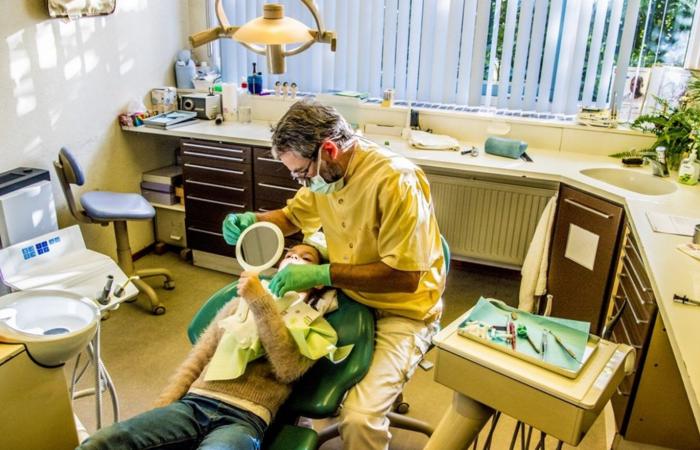 More than 100 dental practices closed for days due to cyber attack