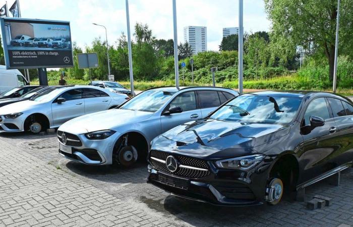 Massive wheel robbery Groningen Mercedes dealer: ‘All cars put on bricks’ | Inland