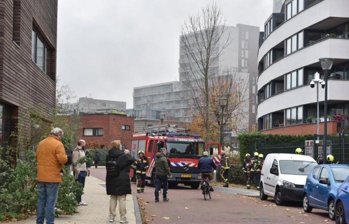 Major fire in Leiden high-voltage substation; black cloud of smoke passes over residential area, flat is evacuated