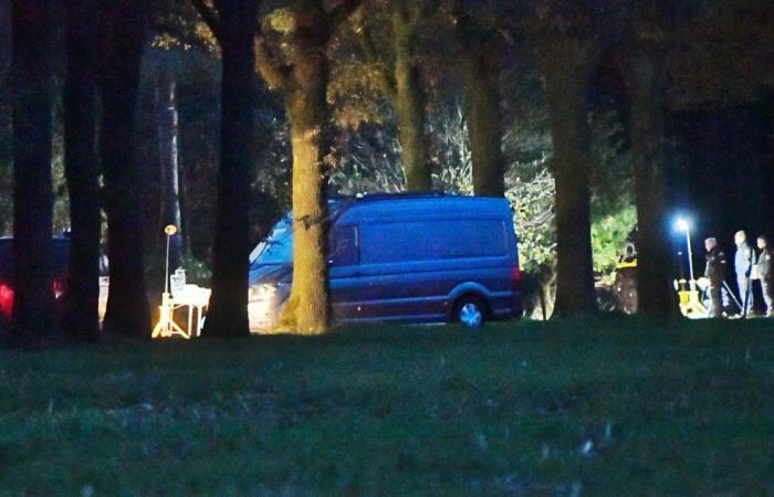 Search for Silvana Heber (36) focuses on forests near Veldhoven, no body found yet | Interior