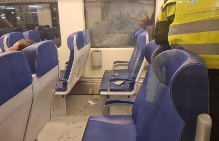 Heavy fireworks set off in train compartment at Schagen station: ‘Too idiotic for words’