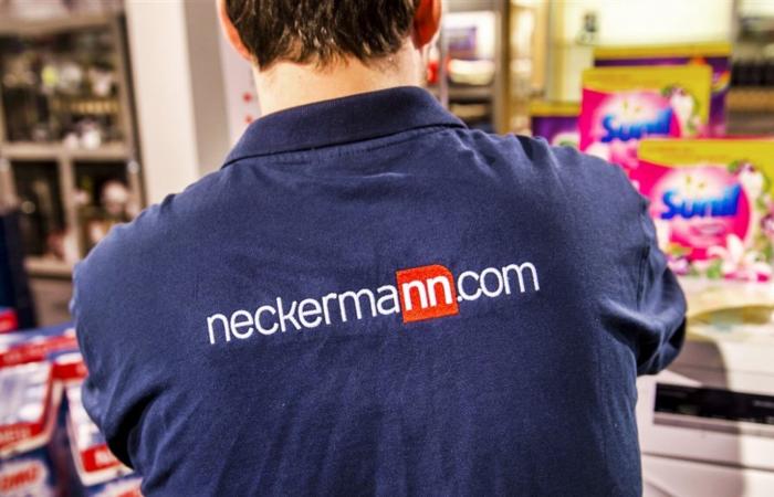 Director must pay for millions shortfall at bankrupt Neckermann stores
