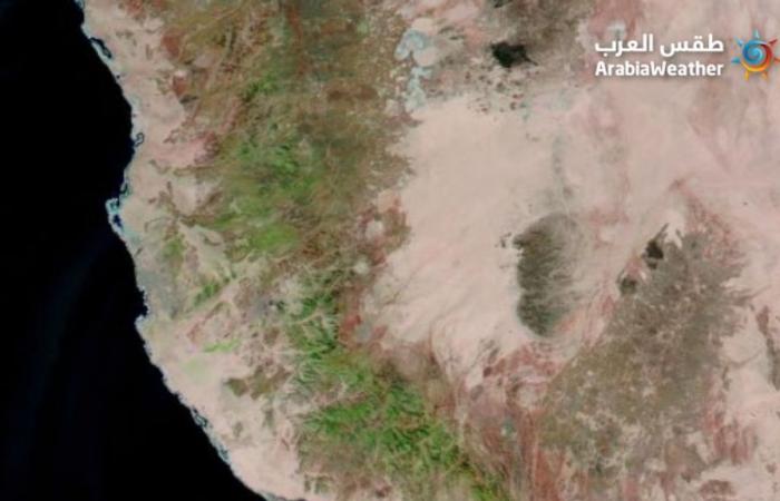 Saudi desert turns green, sign of Judgment Day?
