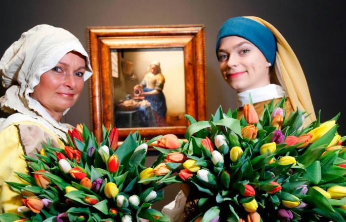 Masterpiece by Johannes Vermeer was inspiration for new tulip | Interior