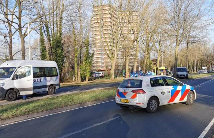 18-year-old woman dies in serious collision: taxi hits her when crossing | Wageningen