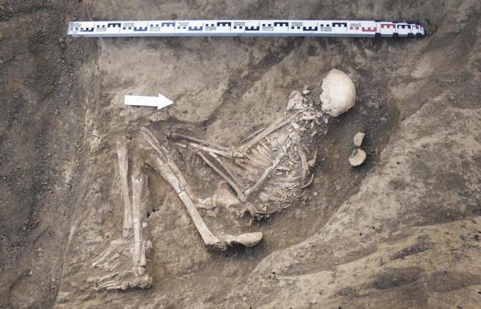 Archaeologists find 7,000-year-old skeleton in Poland | Science