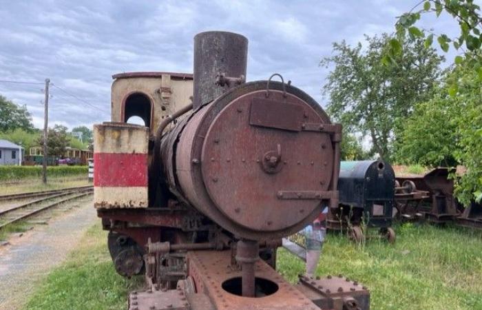 Historic steam locomotives back in the Netherlands