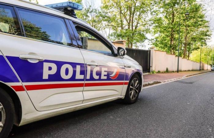 Woman in France killed after ‘testing’ bulletproof vest at party | Abroad