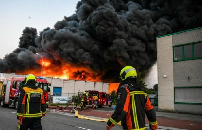 Very large fire in business premises in South Holland Ter Aar | Interior