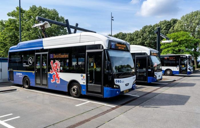 Limburg is investing millions in free public transport for minimum income earners