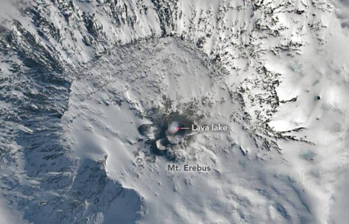Volcano in Antarctica spews gold crystals worth thousands of euros every day | Abroad