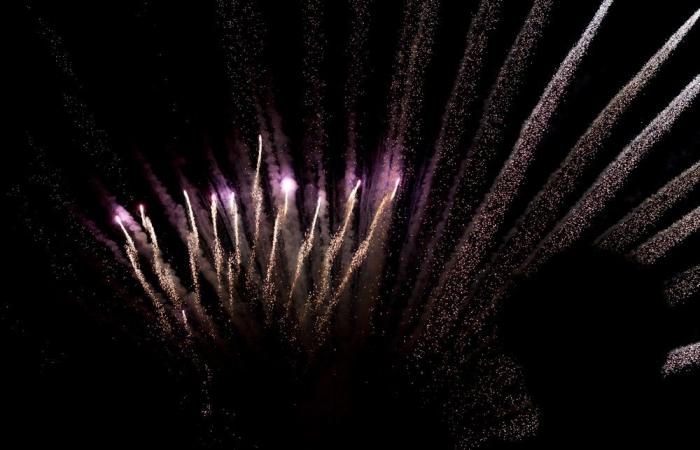 The Utrecht city council votes in favor of a fireworks ban and against countdown moments with decorative fireworks