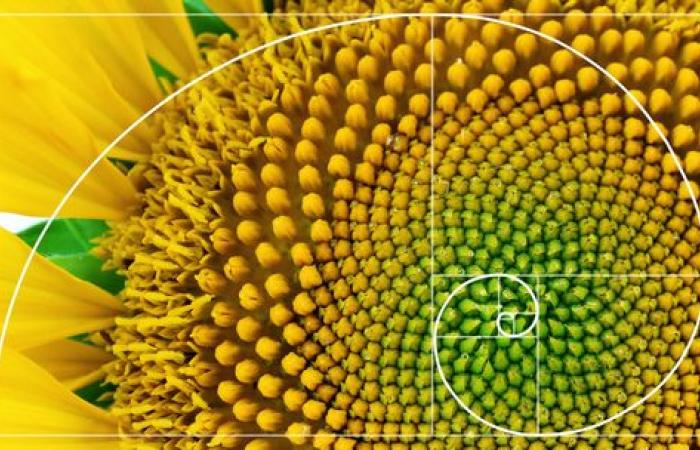 The Golden Ratio: interest and inflation US to 5%
