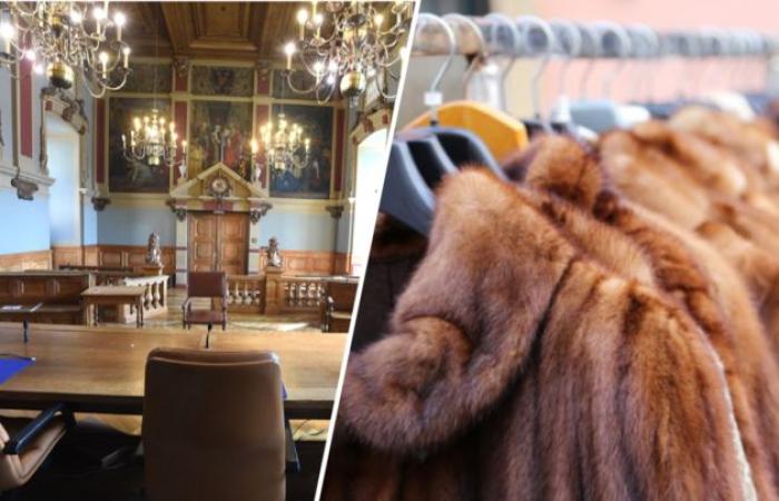 Clan gets jail time after fraud involving the purchase of gold and fur coats (Turnhout)