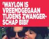 ‘Waylon cheated on Bibi during pregnancy’