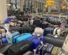 Finding suitcases in the ‘luggage havoc’ at Schiphol? ‘Forget it’