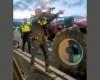 Police fire warning shot at farmers protest Heerenveen