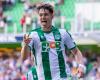FC Groningen sells Strand Larsen for record amount to Celta de Vigo | NOW