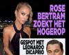 Rose Bertram is looking higher: spotted with Leonardo DiCaprio