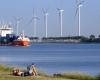 The Netherlands can be climate neutral by 2050: ‘Actually a surprise’ | climate
