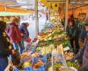 No more sleepless nights for fishmonger Mark: the city market receives an exemption from the Groningen environmental zone until 2030. ‘Really a relief’