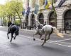 Two horses running through London seriously injured