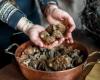Woman in America died after eating morels: these foods are also poisonous | RTL News