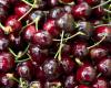 The House of Representatives still wants a pesticide for cherries plagued by fruit flies
