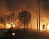 Six Greeks convicted for one of the deadliest wildfires | Abroad