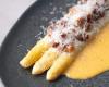 White asparagus with carbonara sauce | what are we eating today