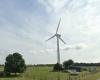 Replacing windmills of 50 meters high with ones of 180 meters: Schore fears for the quality of life