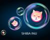 AI predicts the Shiba Inu price for May 31: What can you expect?