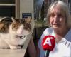 Neighborhood furious with man who beat cat Miesje to death: “It made me miserable for weeks”