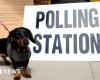 Local elections 2024: Polls to open in England and Wales