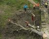Two men charged for cutting down famous ‘Robin Hood tree’ | RTL News