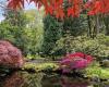 Garden visit: the Japanese garden at the Clingendael Estate in The Hague