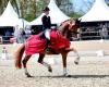 More than 74% for Kirsten Brouwer and Kinetic S: ‘He has a heart of gold’