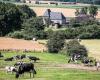2,300 German dairy farmers will quit by 2023 | Melkvee.nl