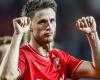 Bullet through the church: Ricky van Wolfswinkel remains loyal to FC Twente for another year: ‘Unbelievably proud’ | FC Twente