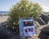 Missing surfers from Australia and the US shot dead and hidden in a waterhole in Mexico