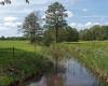 Which farmer wants to manage nature? Drenthe starts trial to get rid of natural land around Drentsche Aa | Veld-post.nl