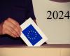 European elections 2024: what exactly are you voting for?