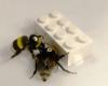 Scientists give bumblebees Lego blocks, revealing that the insects can work very well together