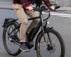 Clear winners: These are the best electric bicycles and speed pedelecs